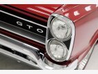 Thumbnail Photo 14 for 1965 Pontiac GTO